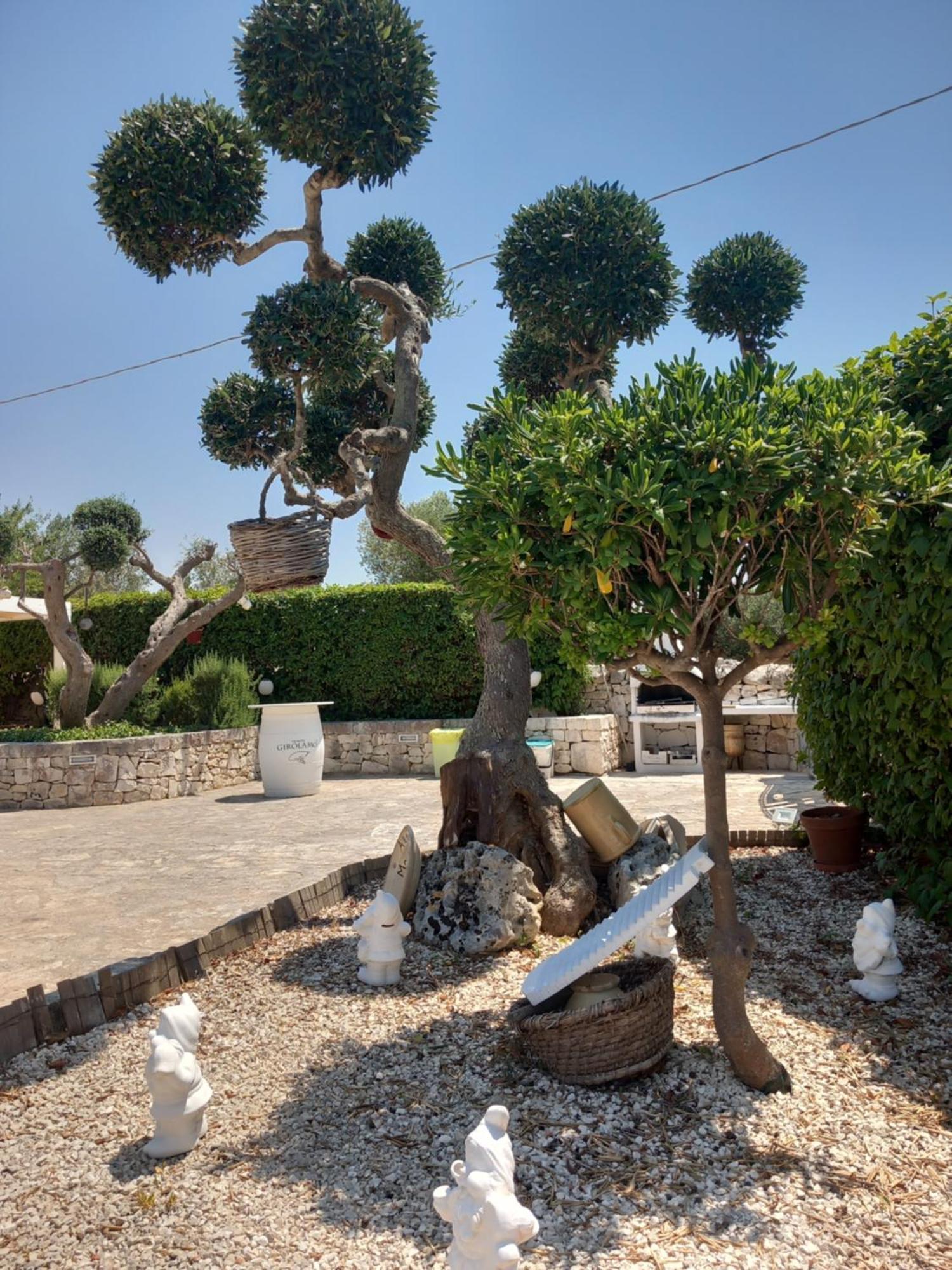 Trullo Monte Del Sale Guest House Alberobello Exterior foto