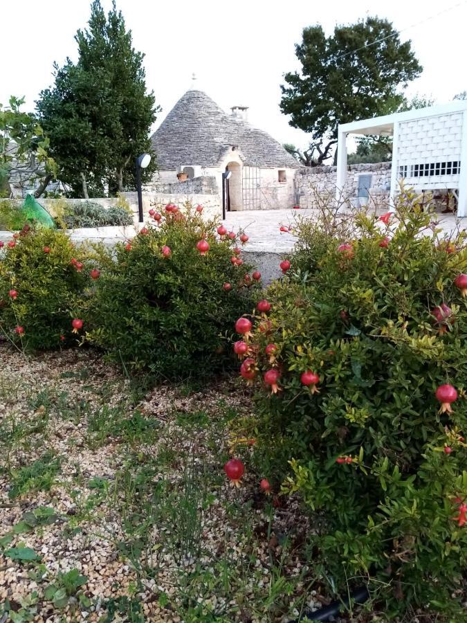 Trullo Monte Del Sale Guest House Alberobello Exterior foto